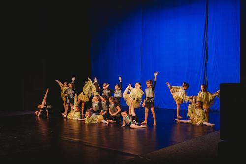 tanecni-vystoupeni-205-of-385