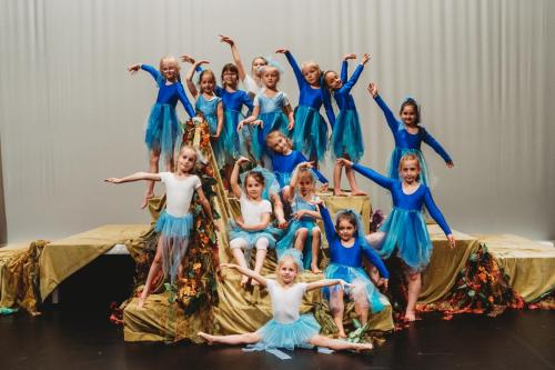 tanecni-vystoupeni-382-of-385